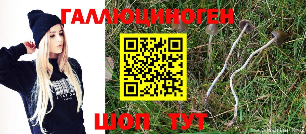 Псилоцибиновые грибы мухоморы Оренбург