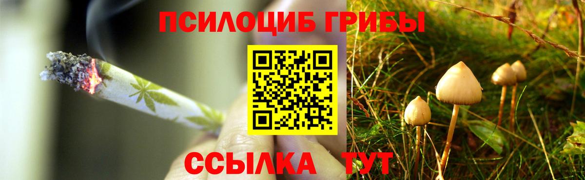 Галлюциногенные грибы MAGIC MUSHROOMS  что такое наркотик  Галлюциногенные грибы Psilocybine cubensis  Оренбург  Вход с VPN 